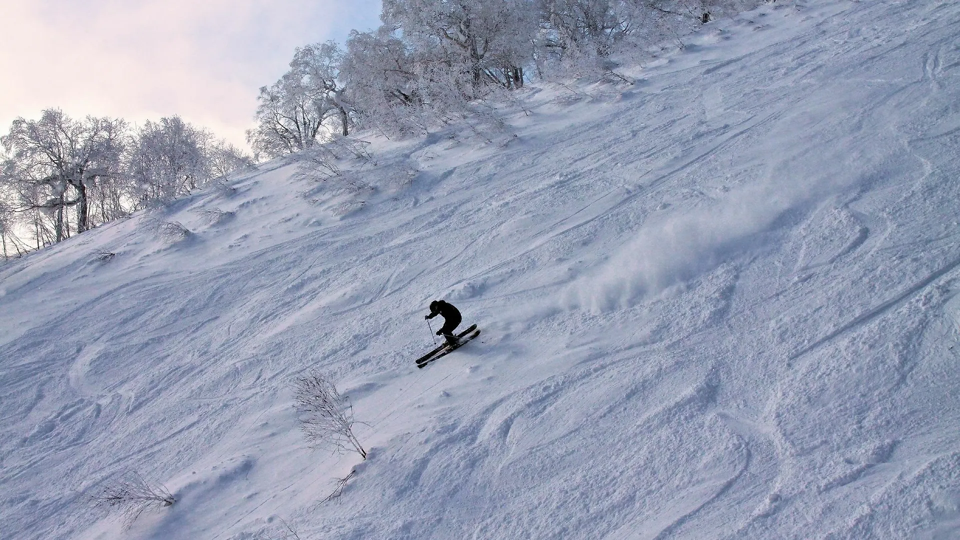 Chalet Ivy Hirafu, Niseko